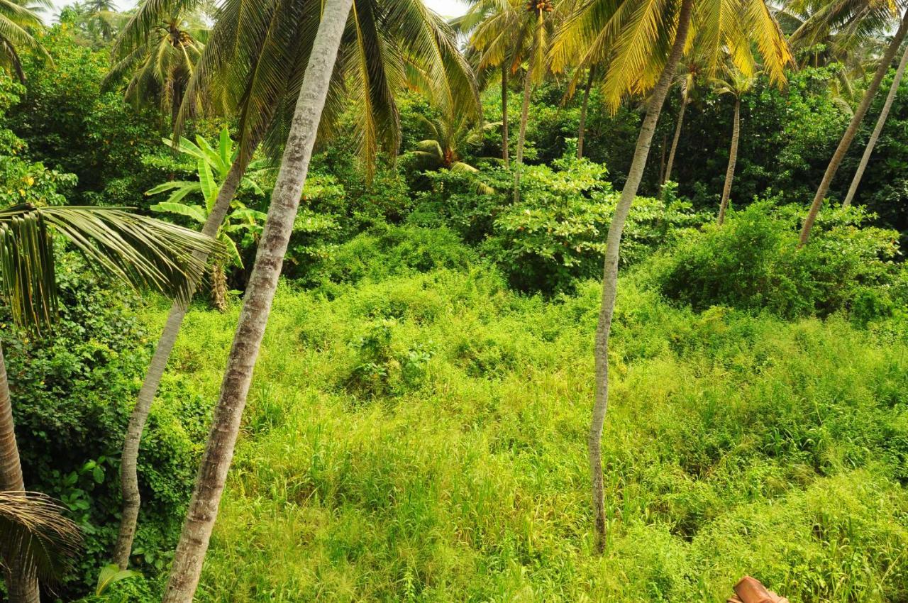 Deutsch Lanka Hotel Telwatta Экстерьер фото